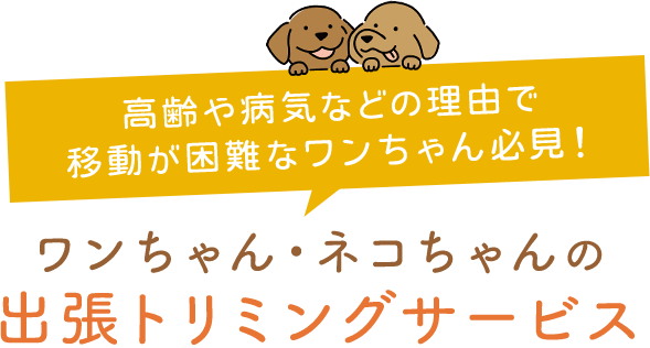 高齢や病気などの理由で移動が困難なワンちゃん必見！ワンちゃん・ネコちゃんの出張トリミングサービス